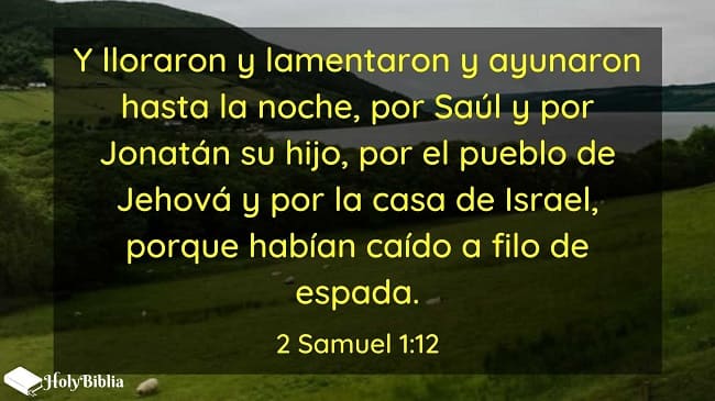2 Samuel 1:12 Y lloraron y lamentaron y ayunaron hasta la noche, por Saúl y por Jonatán su hijo, por el pueblo de Jehová y por la casa de Israel, porque habían caído a filo de espada.