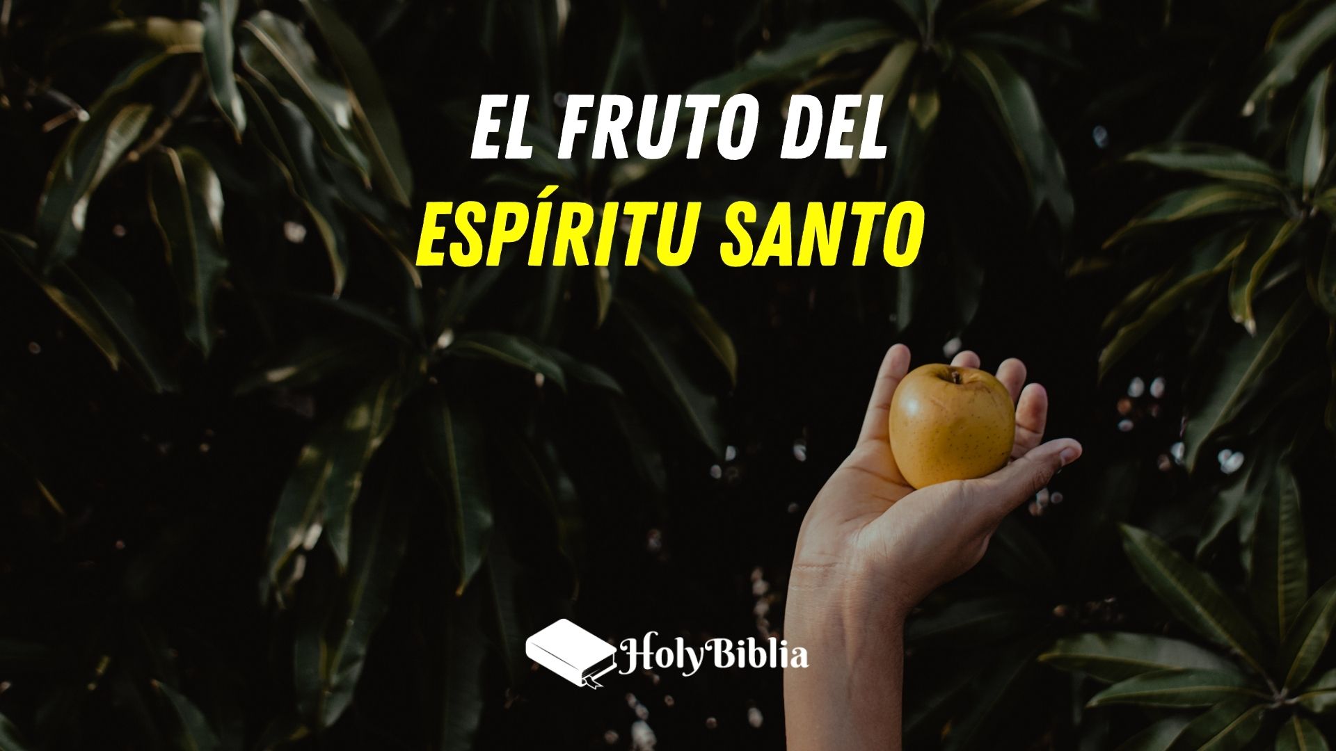 Cuáles son los frutos del Espíritu Santo