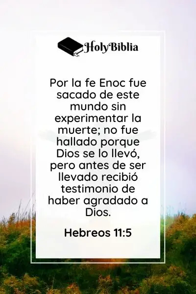 Hebreos 11-5 Quién fue Enoc en la Biblia La Historia de Enoc