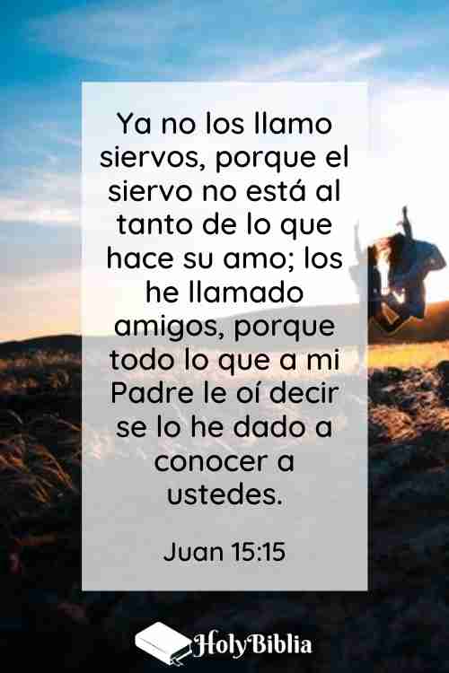 Juan 15:15