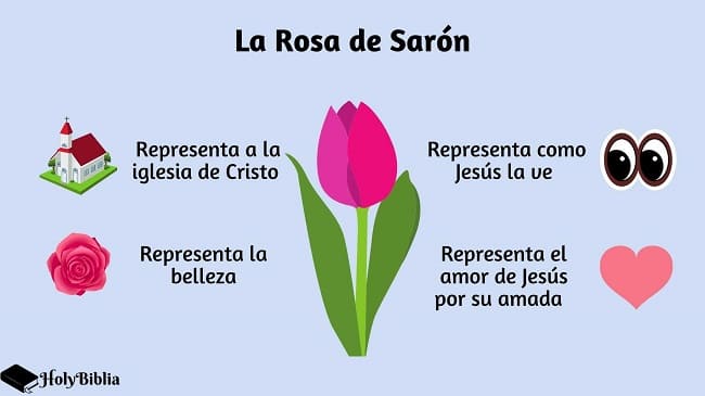 La rosa de sarón en la biblia