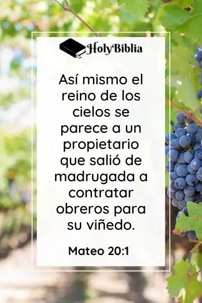 Mateo 20_1 Parábola los obreros de la viña