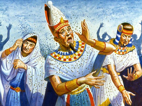 Las diez plagas de Egipto y sus significados Plaga de Moscas