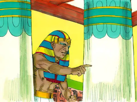Las diez plagas de Egipto y sus significados Plaga de los Primogénitos