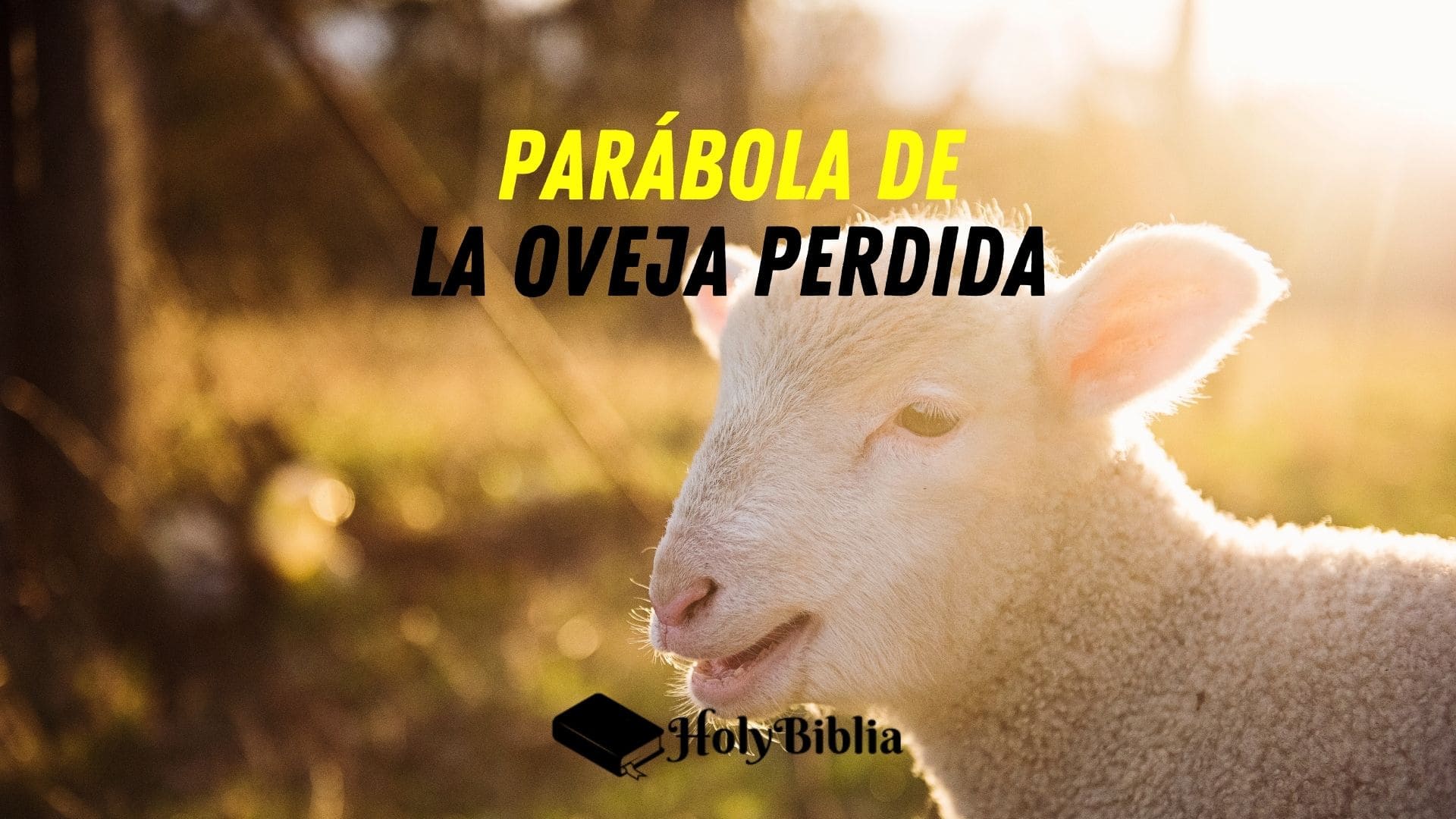 Qué significa la parábola de la oveja perdida