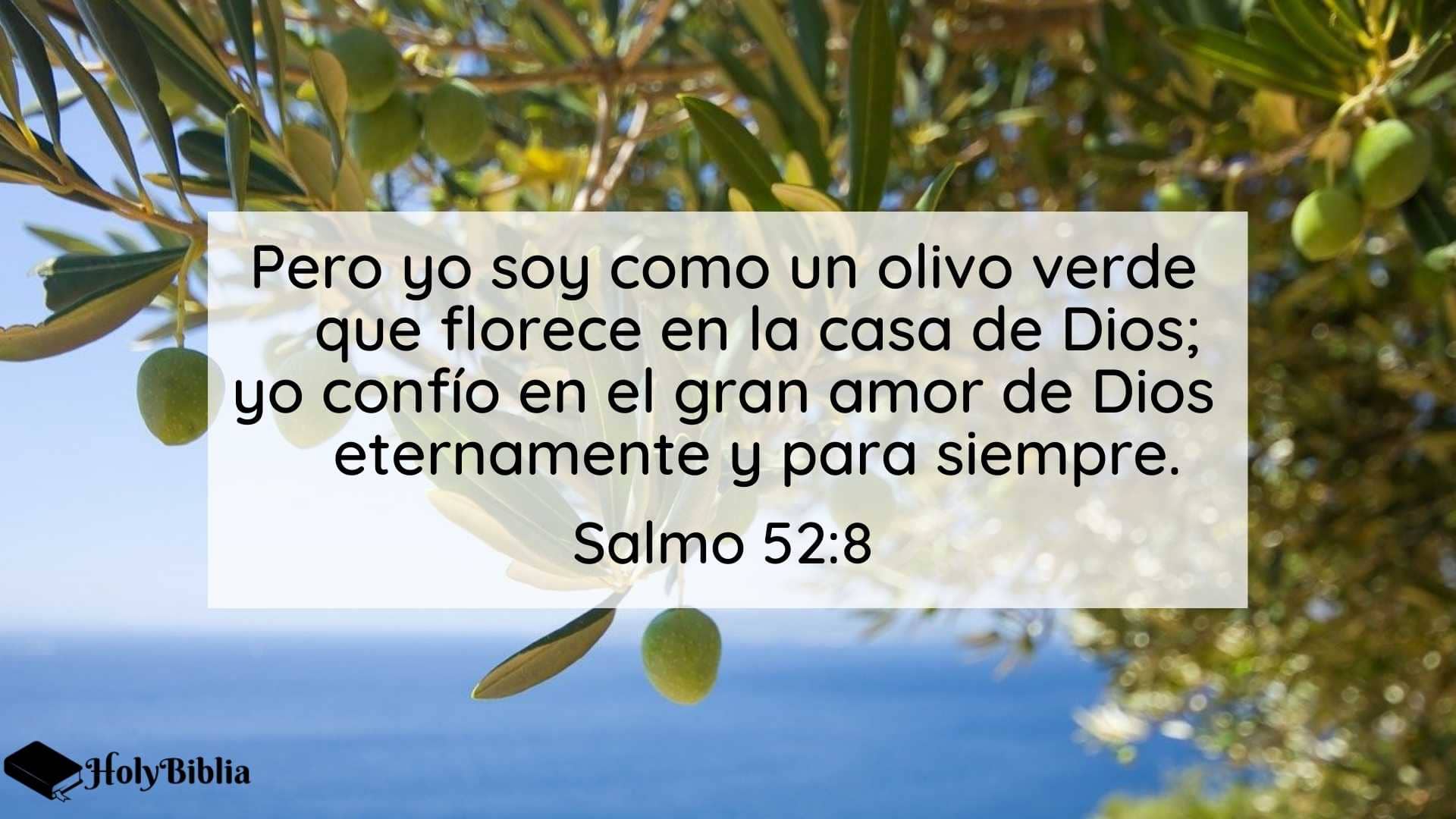 Salmo 52:8