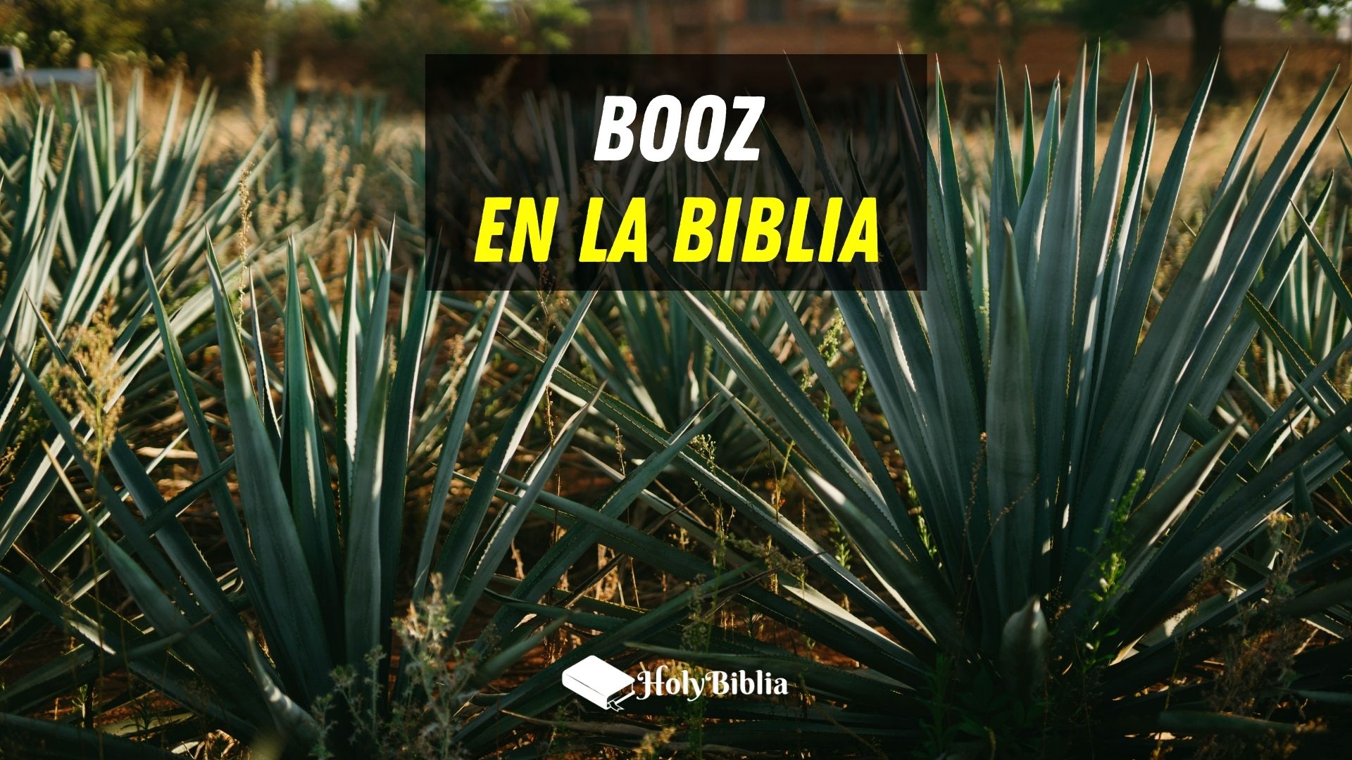 ¿Quién era Booz en la Biblia?