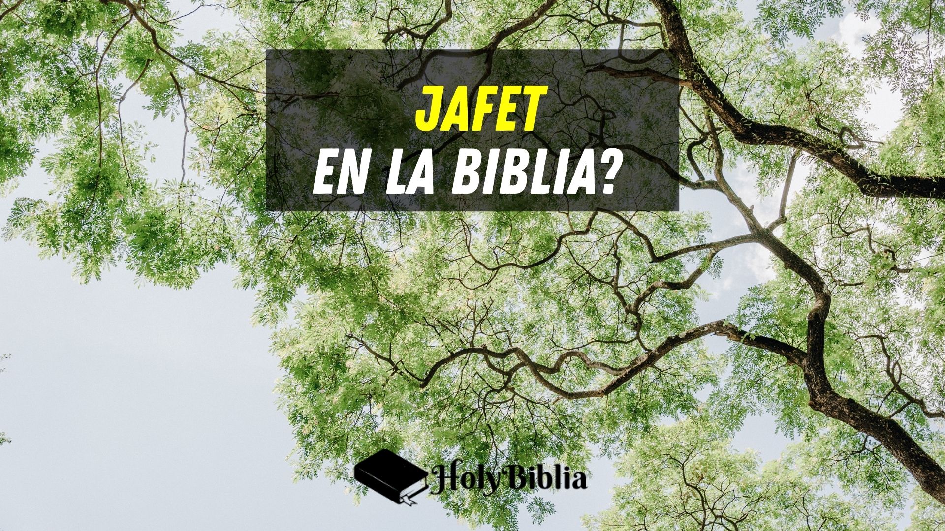 ¿Quién fue Jafet en la Biblia? La Historia de Jafet.