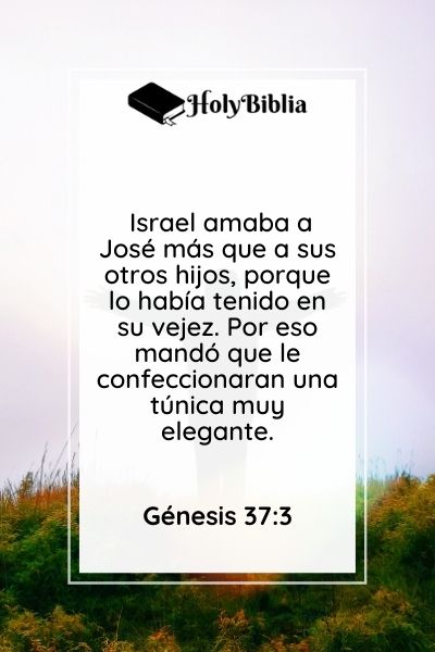 ¿Quién fue José La historia de José en la Biblia.